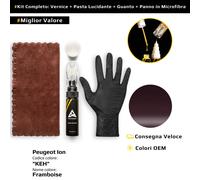 Vernice di ritocco per Peugeot Ion Kit KEH Framboise