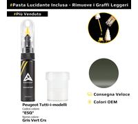 Vernice di ritocco per Peugeot Tutti i modelli Codice: ESQ Gris Vert Crs
