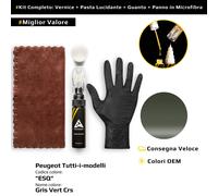 Vernice di ritocco per Peugeot Tutti i modelli Kit ESQ Gris Vert Crs