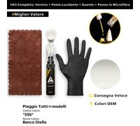 Vernice di ritocco per Piaggio Tutti i modelli Kit 595 Banco Stella