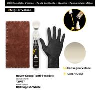 Vernice di ritocco per Rover Group Tutti i modelli Kit 3WT Old English White