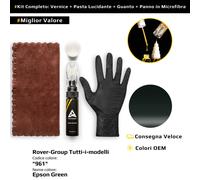 Vernice di ritocco per Rover Group Tutti i modelli Kit 961 Epson Green