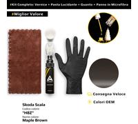 Vernice di ritocco per Skoda Scala Kit H8Z Maple Brown