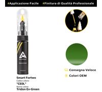 Vernice di ritocco per Smart Fortwo Cod: CE0L Tridon Ev-Green