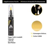Vernice di ritocco per Tagaz Tutti i modelli Cod: 2001M San Flower