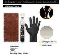 Vernice di ritocco per Tata Nano Kit 082 Dazzling Pearl White