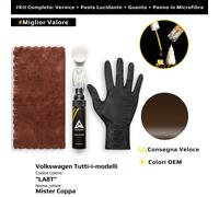 Vernice di ritocco per Volkswagen Tutti i modelli Kit LA8T Mister Coppa