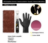 Vernice di ritocco per Volvo Tutti i modelli Kit S98553 Pink Panther