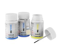 Vernice per auto Kit stilo di ritocco per Jaguar FDH JBC830 Primrose Pearl