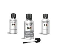 Vernice per ritocchi per BMW 2000-Present Frozen Grey Met Matt U83 di qualità per riparazione graffi (vernice per ritocchi, laccata + primer)