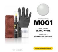 Vernice Ritocco Per Maxus G10 M001 Blanc White Completo Vernice Ritocco Pennino