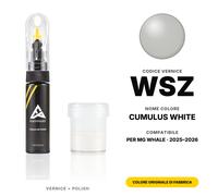 Vernice Ritocco Per MG Whale WSZ Cumulus White Set Schegge Riparazione Auto