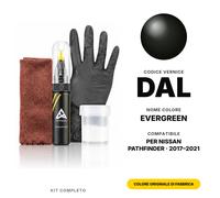Vernice Ritocco Per Nissan Pathfinder DAL Evergreen Completo Ritocco Graffi