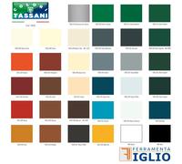 Vernice Smalto Sintetico Brillante ai Siliconi POLYMIA per Esterno Ferro e Legno