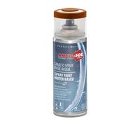 Vernice Spray A Base Acqua Marrone Fango Ral 8003 Smalto Metallo Legno Plastica