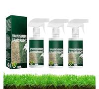 Vernice spray per prato verde da 60 ml, colorante per prato, vernice spray per prato verde, vernice spray per prato, vernice spray verde naturale per vernici per prato, ecologica e adatta agli animali