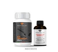 Vernice TRASPARENTE OPACO carrozzeria bicomponente 2K per auto Alte temperature