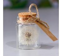 Vero Dente di Leone in un Bicchiere,Regalo Mamma Compleanno a Mano Regali per Donne Amanti dei Desideri Veri Leone in Vetro Compleanno,San Valentino Matrimonio Fidanzata Mamma Sorella Ragazza