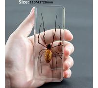Vero Insetti Campione Ragno Beetle Fermacarte Scorpione Mantis Tarantola