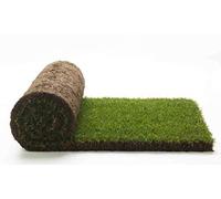 Vero prato pronto a rotoli di 40 mq 1^ scelta in erba naturale, NO sintetica sintetico (80 rotoli) per giardino