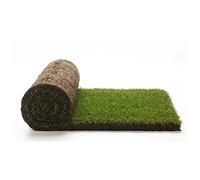 Vero prato pronto a rotoli di 40mq 1^ scelta in erba naturale, NO sintetica sintetico (80rotoli) per giardino