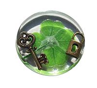 Vero trifoglio a quattro foglie, gettone tascabile di buona fortuna, conservato, 3,2 cm (Compresi oggetti metallici di lucchetto e chiave)