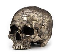 Veronese Design Statua di craniumografia vecchia mappa del tesoro del cranio scultura in resina colata a freddo con finitura bronzo