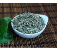 Veronica (botanica) taglio 1 Kg