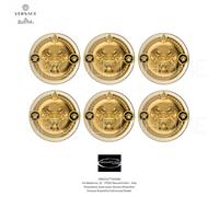 Versace Rosenthal - Prestige Gala - Set 6 Piatti Piani/Burro ø cm 10 - in 4.09
