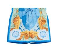 Versace, ,Swimwear ,Uomo ,Blu ,XL Printed Swim Boardshorts