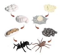 Versatile Life Cycle, Toys Patio for, Kids Spider Figurine, Growth Cycle