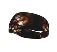 Versatile Sports Headband Small Squirrel Eating Chestnuts Print - Stretchy Moisture Wicking Headband for Yoga and Fitness