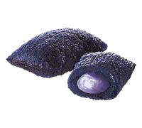 Versele-Laga Crock Complete Berry - Trattamento alle bacche per conigli e roditori 50g