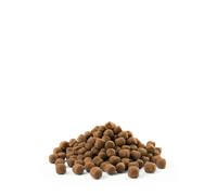 Versele-Laga Opti Life Adulto Mini pollo e riso per piccole razze 7,5kg x2