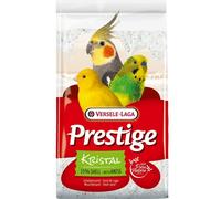 VERSELE-LAGA Shell sabbia cristallo 25 kg sabbia conchiglia cristallo bianco