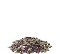 Versele Laga Snack per roditori Fibres Nature 500 GR
