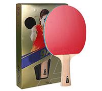 Versione aggiornata, la racchetta da ping pong competitiva è adatta ai giocatori professionisti/7 stelle(9 Stars)