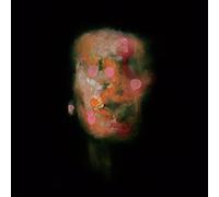 Lanterns On the Lake Versions of Us (Vinyl LP)