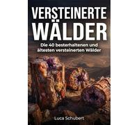 Versteinerte Wälder: Die 40 besterhaltenen und ältesten versteinerten Wälder