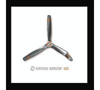 vertical horizon-go