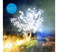 Vertigo Days - The Notwist (Audio cd)