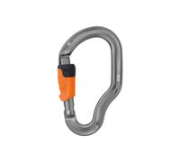 Petzl Vertigo Snap Hook Argento