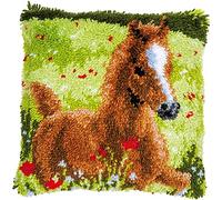 VERVACO Kit Latch Hook Cuscino PULEDRO VIVACE Kit Gancio Di Chiusura Tappeto ca. 40 x 40 cm Set Ricamo Principianti Casa Decorazioni Attività Creative Adulti Hobby Rilassanti Gobelin Cuscino