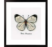 VERVACO Kit Punto Croce Contato Farfalla Bianca Decorativi per Pareti ca. 16 x 14 cm Set Fai da Te Creativo Adulti Casa Decor Arte da Parete Kit per Hobby Cross Stitch