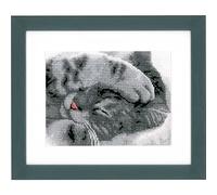 VERVACO Kit Punto Croce Contato GATTINO CARINO Decorativi Per Pareti ca. 16 x 13 cm Set Fai Da Te Creativo Adulti Casa Decor Arte Da Parete Kit Per Hobby Cross Stitch