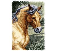 VERVACO Latch Hook Kit per Tappetto Cavallo Kit Gancio di Chiusura Tappeto ca. 45 x 70 cm Set Ricamo Principianti Casa Decorazioni attività Creative Adulti Hobby Rilassanti