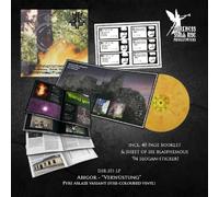 verwüstung / invoke the dark age (fire vinyl lp)