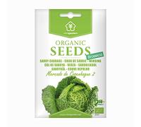 Verza "Mercado de Copenhague 2", Semi Biologici Certificati Minigarden, include tra 300 e 250 semi