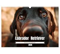 Verzauberung Labrador Retriever 2026 (Wandkalender 2026 DIN A3 quer), CALVENDO Monatskalender: ChatGPT: Ein liebevoll gestalteter Kalender voller ... - für alle, die Hunde mit dem Herzen sehen.