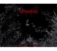 Verzivatar - In The Shadows On